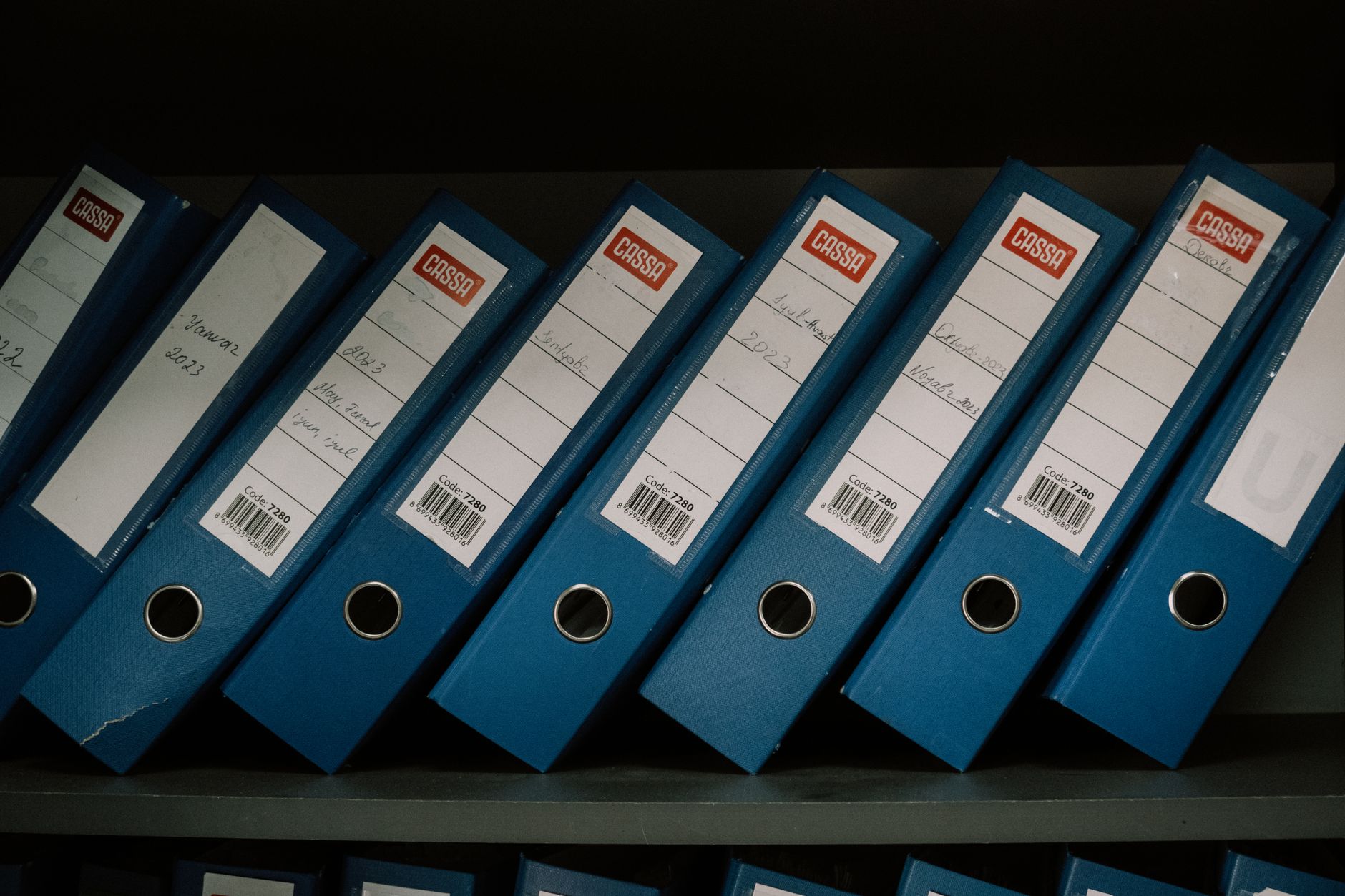 Daofile Review: Reliable Storage & Fast Downloads File Search